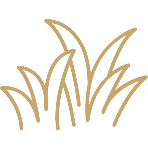 Icon einer goldenen wachsenden Pflanze.