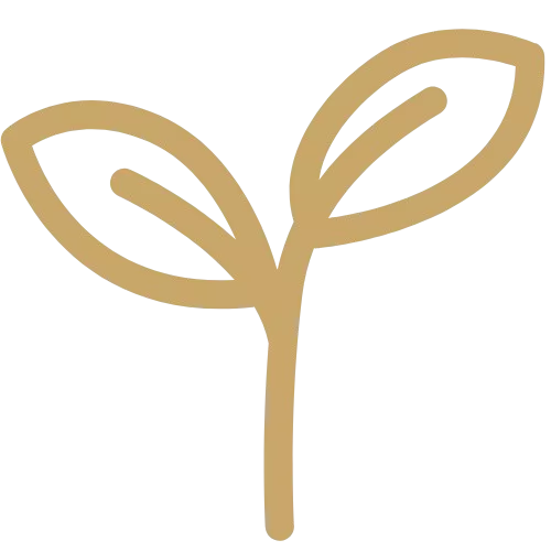 Icon einer goldenen wachsenden Pflanze.